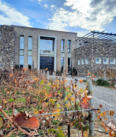 Bodega Enzo Bianchi