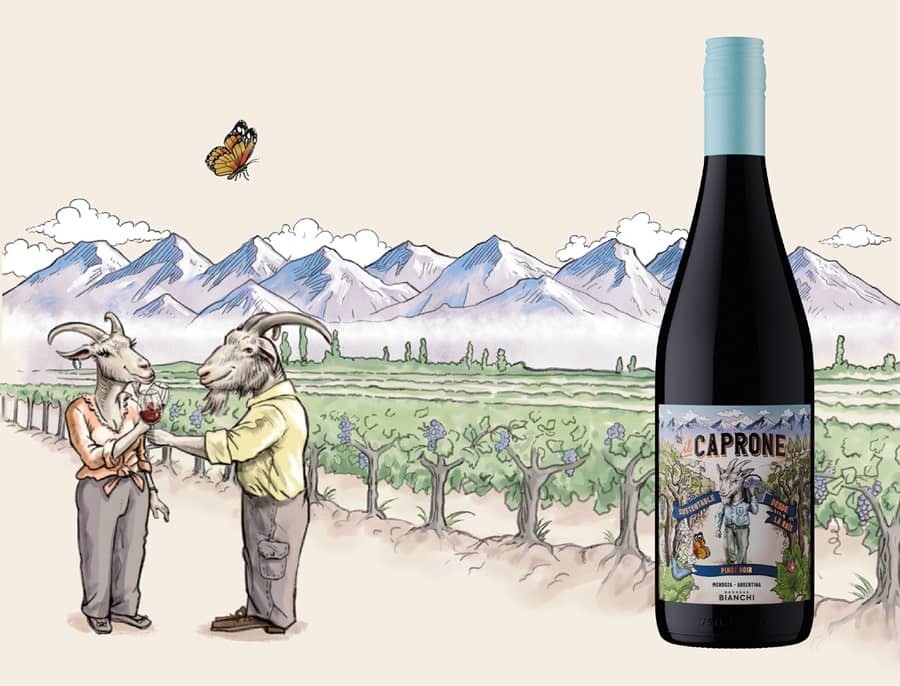 Il Caprone Pinot Noir 2024: un clásico francés con sello mendocino