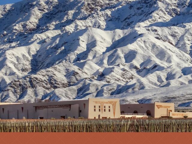 Bodega Flechas de los Andes