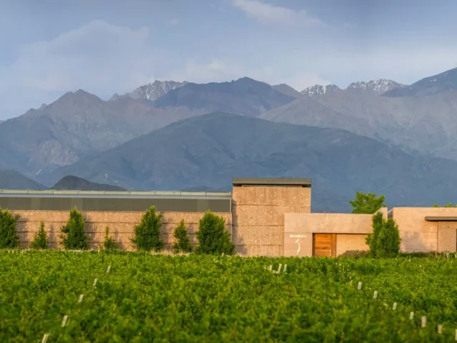 SoloContigo Wines