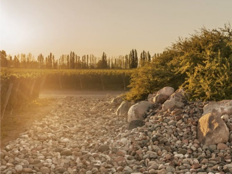 zuccardi
